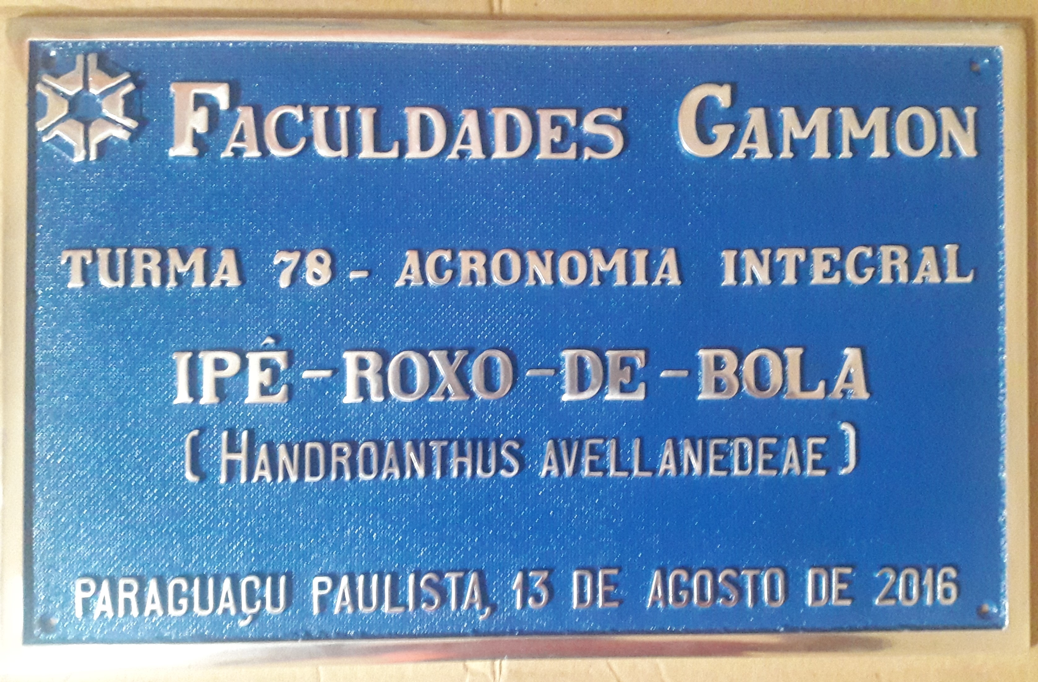 PLACA DE ALUMNIO FUNDIDO