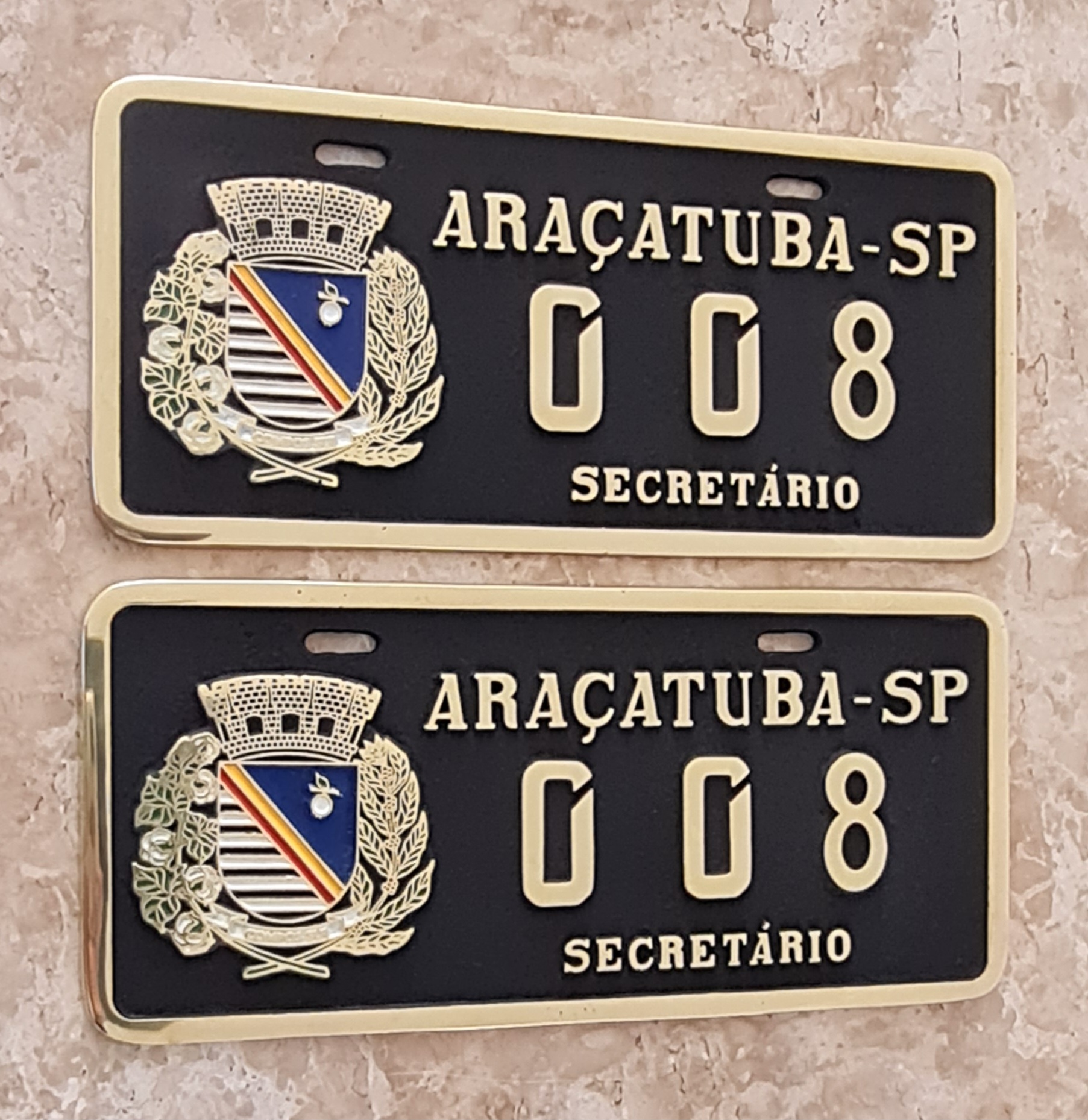 Placa de Carro em Bronze Fundido