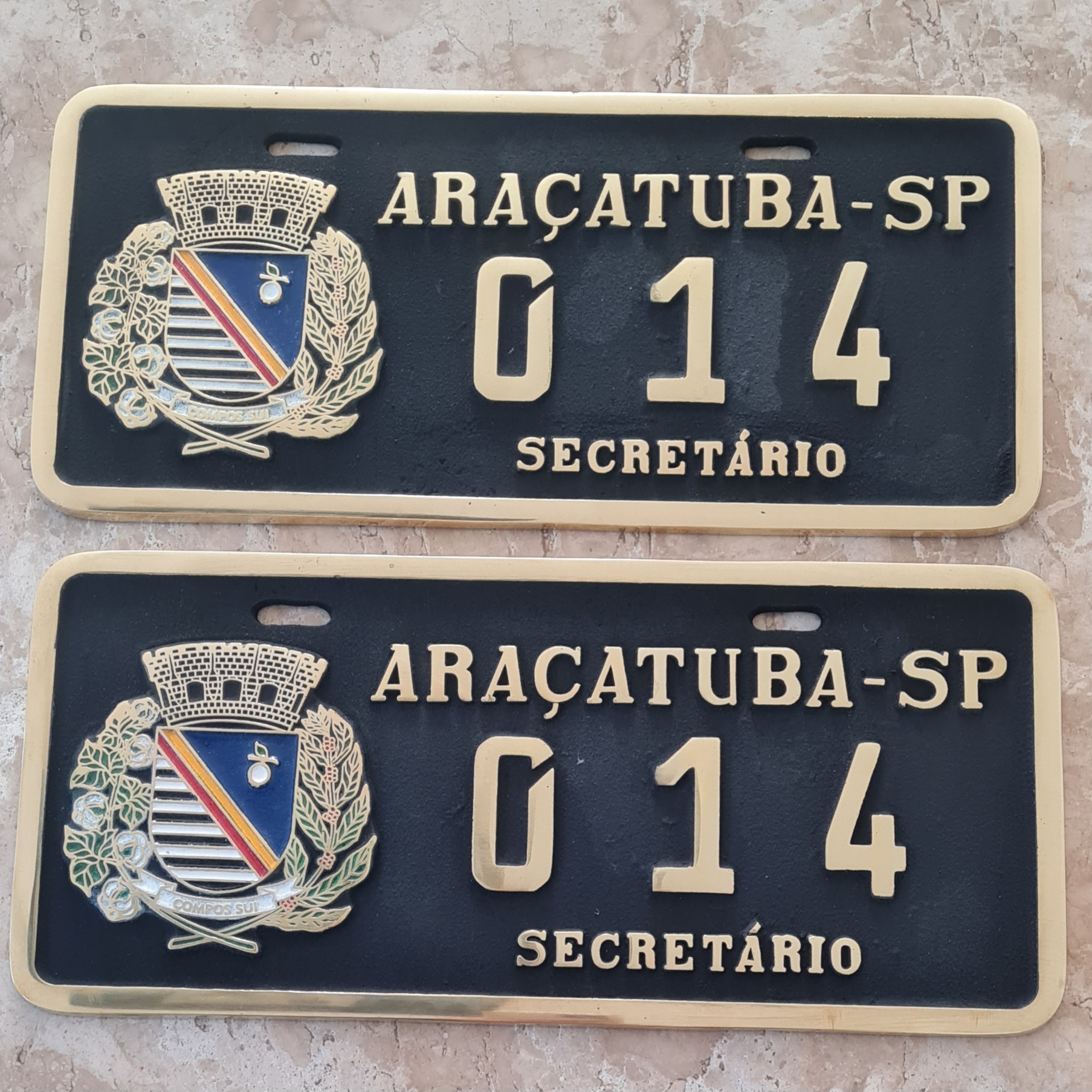 Placa de Carro em Bronze Fundido