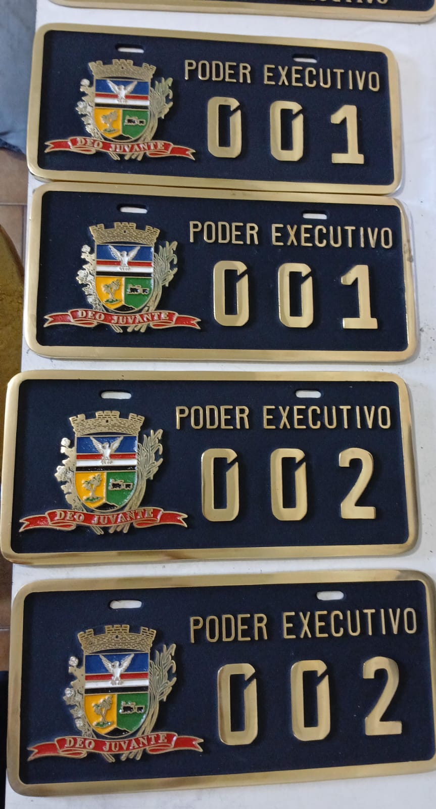 Placa de Carro em Bronze Fundido