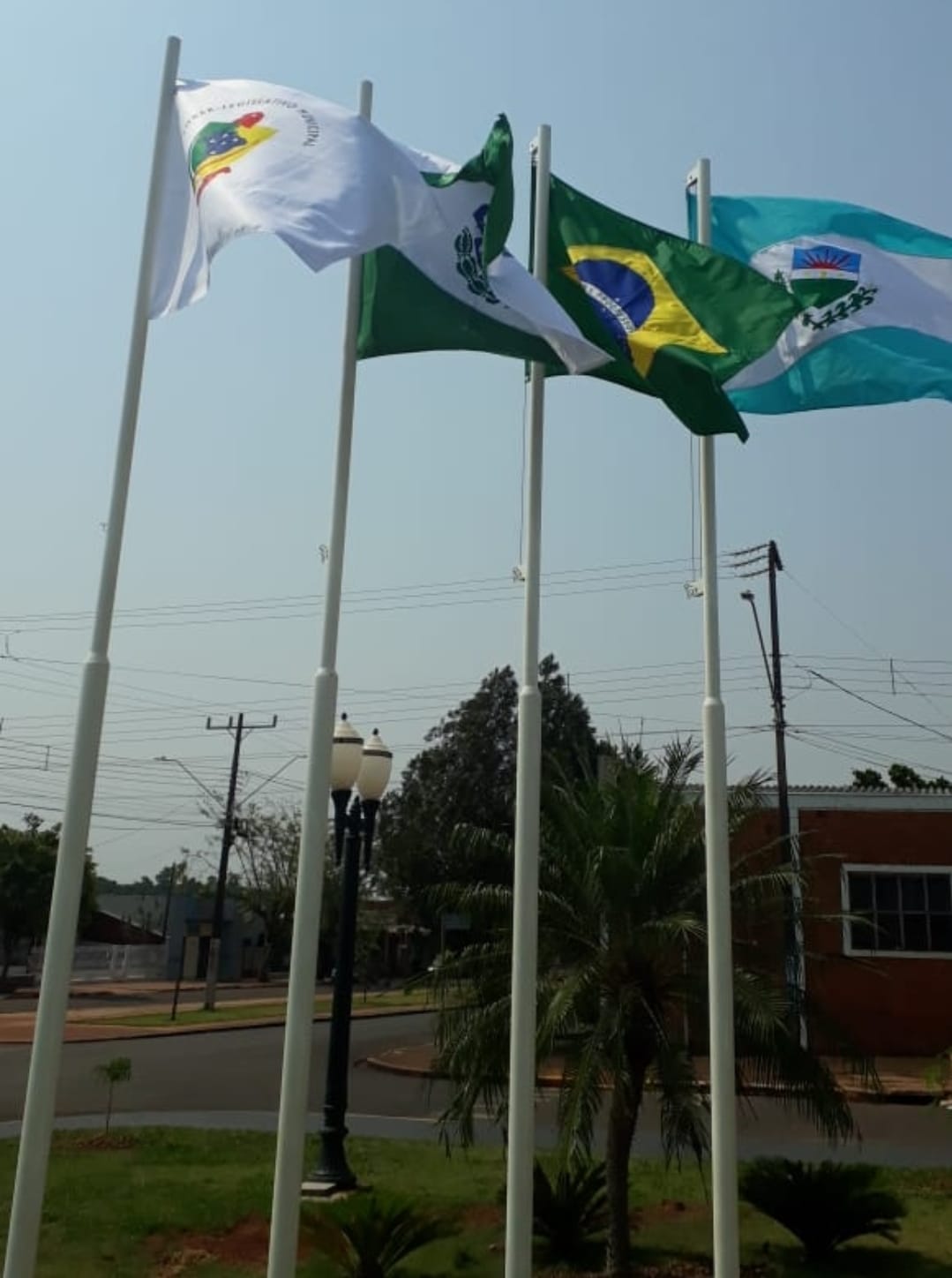 Bandeira Diversa